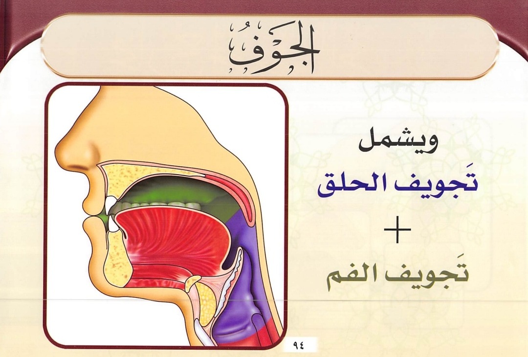 Makhraj Al Jauf (Sumber Gambar : Tajwid Al Mushawwar)