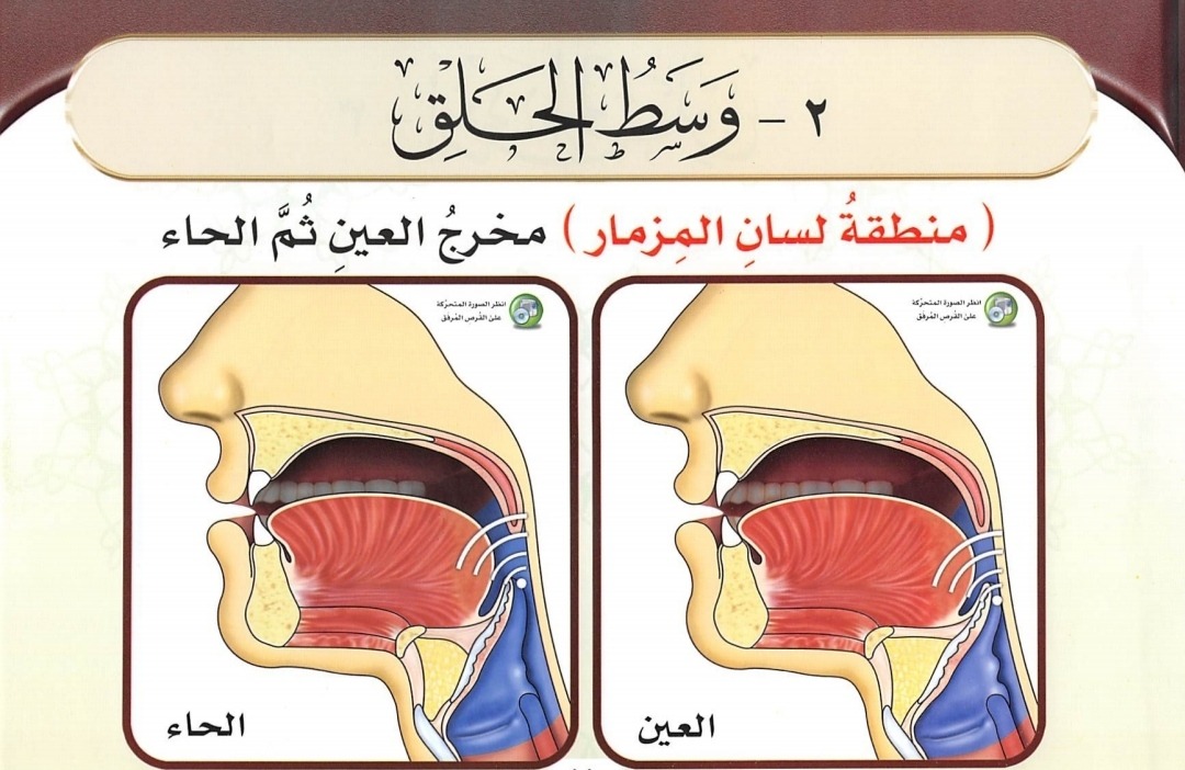 Wasathul Halq (sumber gambar : Tajwid Al Mushawwar)