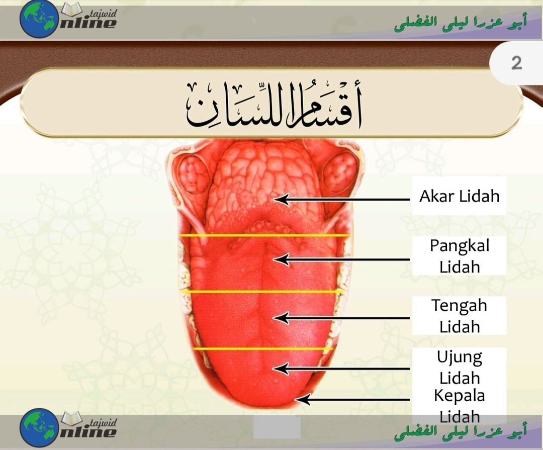 Pembagian Al Lisan (sumber gambar : Modul Daurah Matan Jazariyyah Ust. Abu Ezra Al Fadhli)