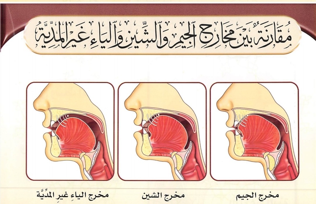 3 huruf pada Makhraj Wasathul Lisan (sumber gambar : Tajwid Al Mushawwar)