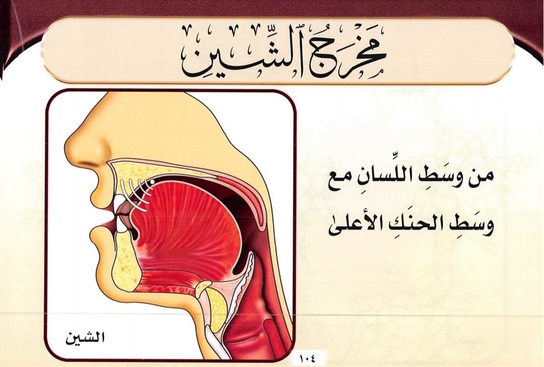 Makhraj Huruf ش (sumber gambar : Tajwid Al Mushawwar)