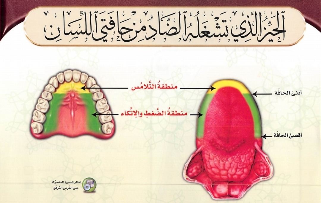 Bagian Hafatul Lisan (sumber gambar : Tajwid Al Mushawwar)