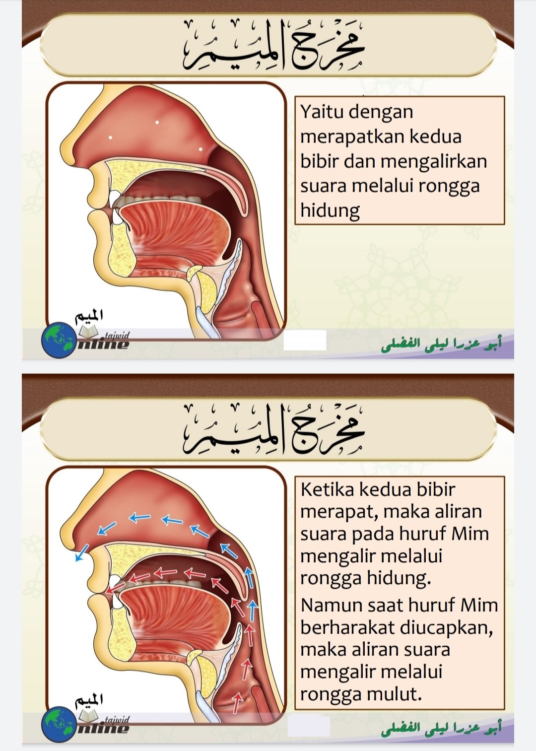 Makhraj Huruf م (sumber gambar : Modul Dauroh Syarah Muqaddimah Jazariyyah)
