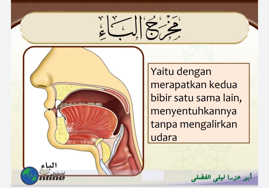 Makhraj Huruf ب (sumber gambar : Modul Dauroh Syarah Muqaddimah Jazariyyah)
