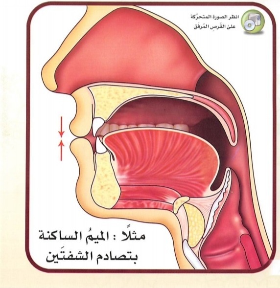 Mim Sakinah terbentuk dengan membenturkan kedua bibir (sumber gambar : Tajwid Al Mushawwar)