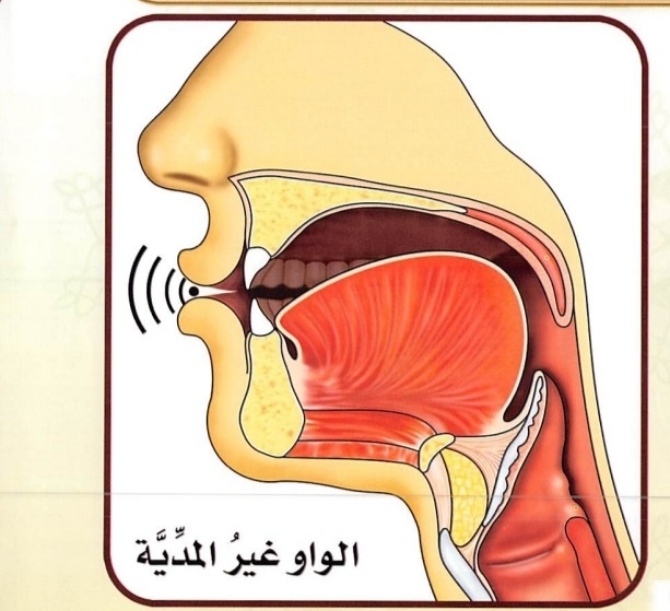 Dua Bibir (sumber gambar : Tajwid Al Mushawwar)
