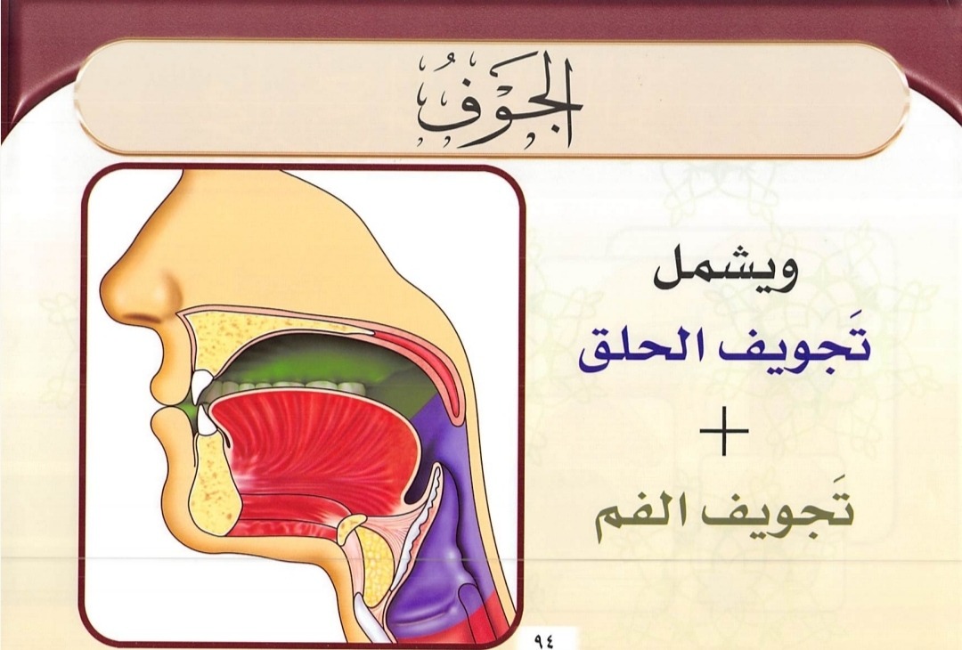 Al Jauf atau Rongga Tenggorokan dan Rongga Mulut (sumber : Tajwid Al Mushawwar)