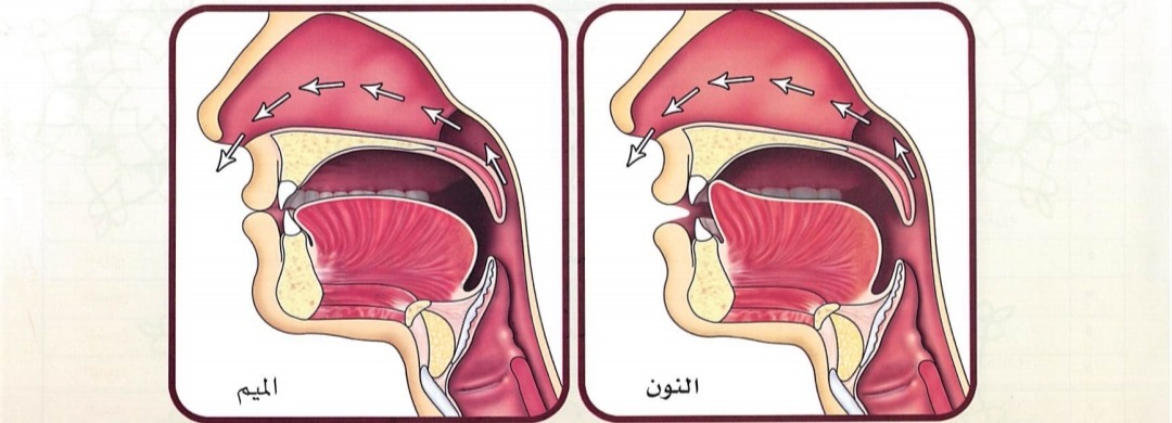 Ghunnah Suara yang keluar dari pangkal hidung (sumber gambar : Tajwid Al Mushawwar)