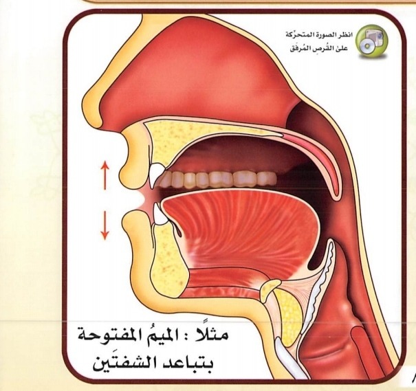 Mim berharakat Fathah diucapkan dengan menjauhkan kedua bibir (sumber gambar : Tajwid Al Mushawwar)